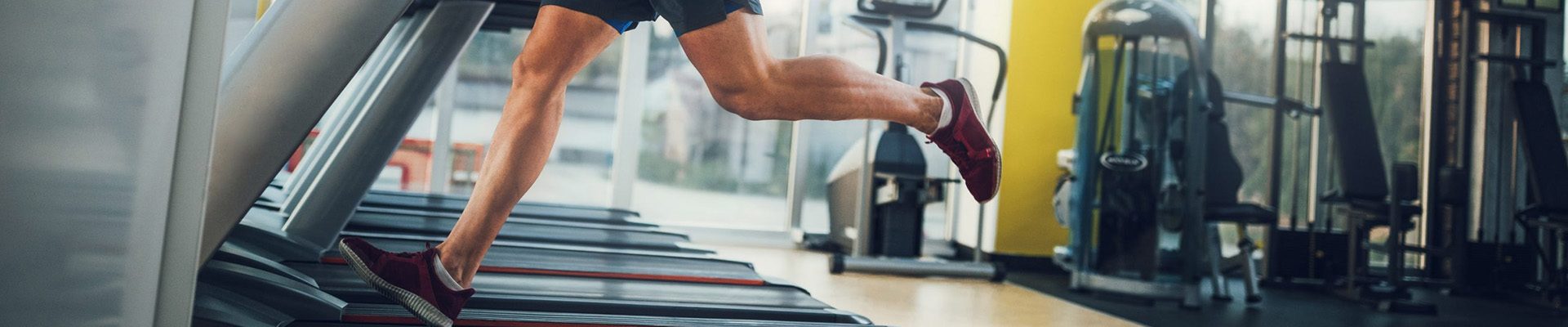 cardiovascular-exercise